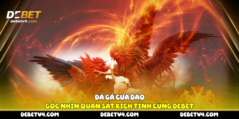 Đá gà cựa dao