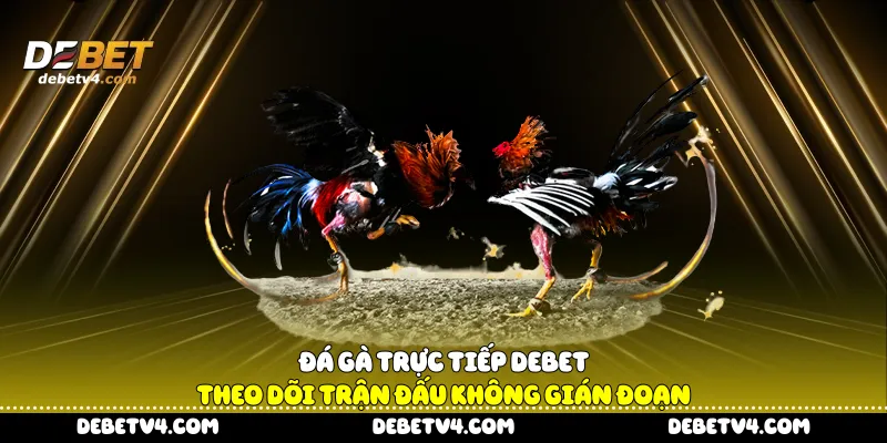 Đá gà trực tiếp
