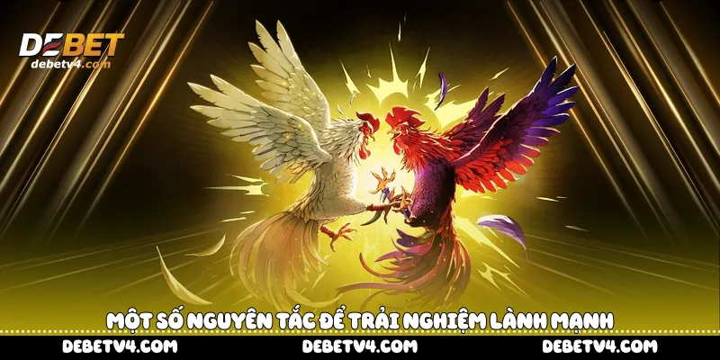 một số nguyên tắc để trải nghiệm lành mạnh