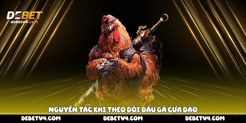 nguyên tắc khi theo dõi đấu gà cựa dao