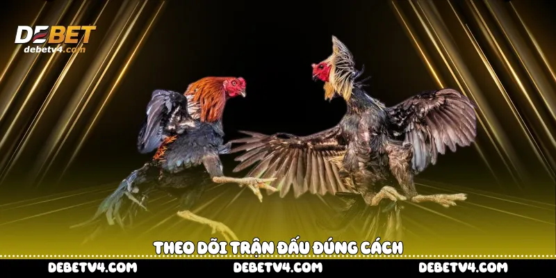 Theo dõi trận đấu đúng cách